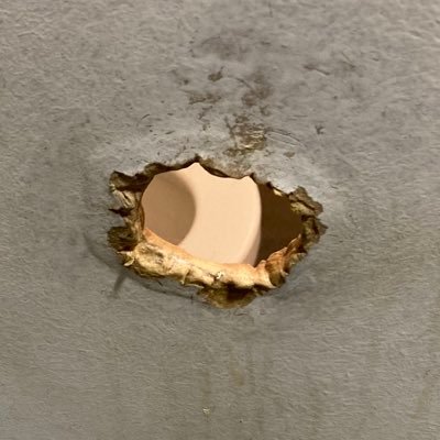 Tosev22's profile picture