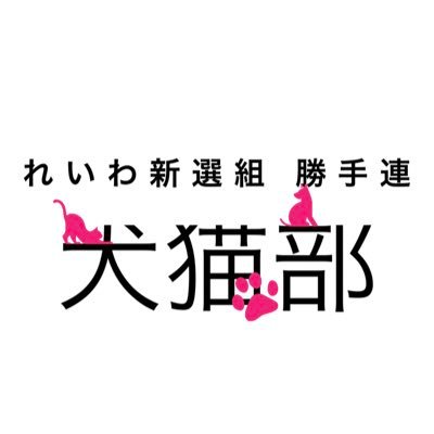 れいわ新選組勝手連🐾 犬猫部🐕🐈's profile picture