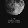 Luna 的头像