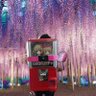 ガチャ背負ったやんちゃ癲癇持ち(べにちゃん㌢で亜沙さん年納豆大好き越後の大輔)炭治郎、仁太コス 的头像