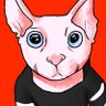 Walter's profile picture