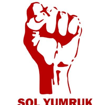 Sol__Yumruk's profile picture