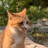 Profilbild von SeaCat