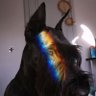 Profilbild von Eli