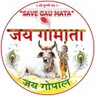 MEHUL AGRAVAT's profile picture