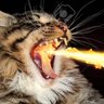 Profilbild von DouceFeu