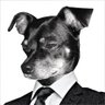 The Michael Jordan of Awesome profil fotoğrafı