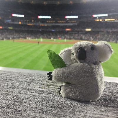 Jarv's profile picture