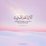 يحيى العلوي's profile picture