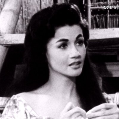 sinefiles's profile picture
