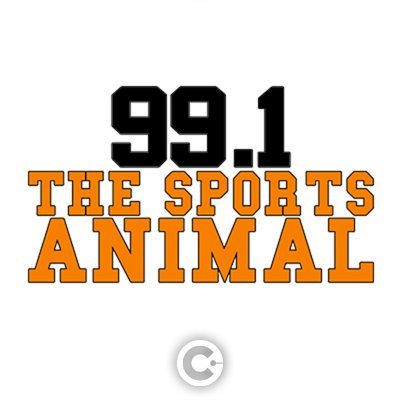 99.1 THE Sports Animal's profile picture