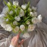 فوز 🌱 profil fotoğrafı