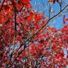 Фото профиля Yarra Vally