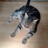 おしげ profil fotoğrafı