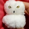 いけだ profil fotoğrafı