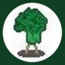 蘇芳(🍊master)'s profile picture