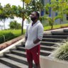 Francis Jingo's profile picture