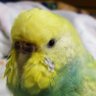 Profilbild von 大下勇次