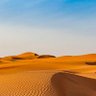 thamer-alrashed 的头像