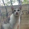 serdar özkan profil fotoğrafı