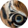 . profil fotoğrafı