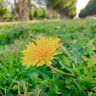 جمال الروح 🌼 profil fotoğrafı