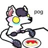 Profilbild von Bink Bink Bonk