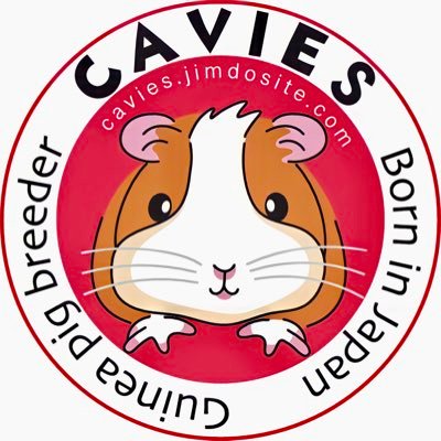 CAVIES_JAPAN's profile picture