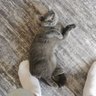 İlhan profil fotoğrafı