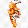 سهم الاتحاد🏹's profile picture