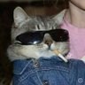 ª's profile picture