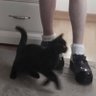 Fracasada.ok profil fotoğrafı