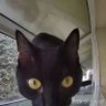 Фото профиля Tom
