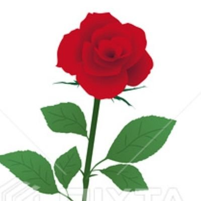 F8m1oYCVphQw7pq's profile picture