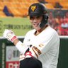 Profilbild von 坂本勇人はなぜ神なのか
