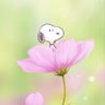 ゆみ profil fotoğrafı