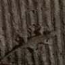 兎にも角にも狐 profil fotoğrafı