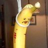Profilbild von 魔帝红眼