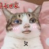 Фото профиля 老粉