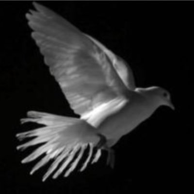 pamp69's profile picture