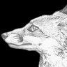 Фото профиля FOxzote