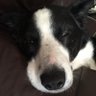 Welly's profile picture