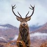 John Glasgow 🏴's profile picture