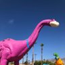 Profilbild von Lakers Dino