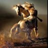 نمره العكيدات profil fotoğrafı