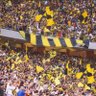 al ittihad💛💛's profile picture
