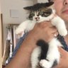 つーちゃん's profile picture