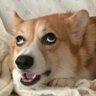 Kevin 的头像