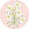 だんごババ 的头像