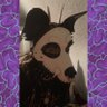 Joker de Lioncourt ΘΔ⚣ 🔞🦇🃏🏳️‍⚧️🏳️‍🌈🐺🇵🇸's profile picture